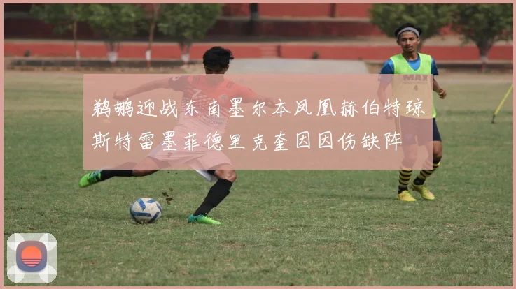 鹈鹕迎战东南墨尔本凤凰赫伯特琼斯特雷墨菲德里克奎因因伤缺阵