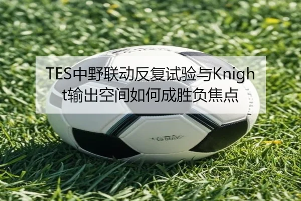TES中野联动反复试验与Knight输出空间如何成胜负焦点